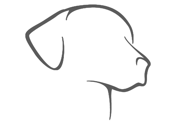 Breedme adopdta a tu mascota